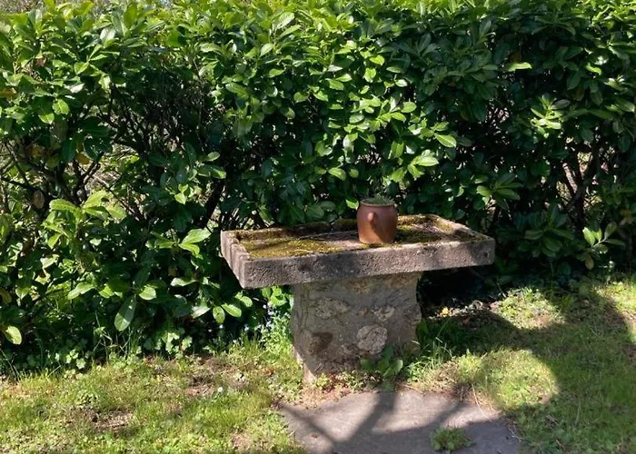 Chez Denise * Paulinet